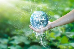 Easy Ways to Reduce Your Water Usage