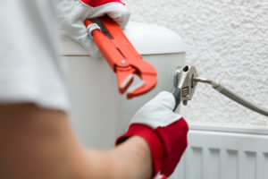 Take Advantage of Affordable Toilet Installation in Fallbrook CA Take Advantage of Affordable Toilet Installation in Fallbrook CA