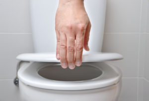 Tips for Choosing a New Toilet in Solano Beach CA Tips for Choosing a New Toilet in Solano Beach CA