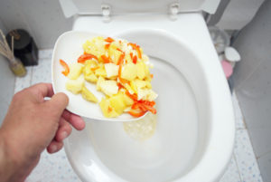 Think Twice Before Flushing Food Down Your Toilet in Fallbrook CA