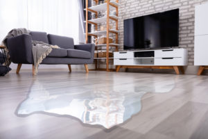 Does Your Home Have a Mystery Leak? You Need Flood Detection Service in Escondido CA Does Your Home Have a Mystery Leak? You Need Flood Detection Service in Escondido CA