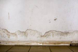 Our Flood Restoration Experts in Solana Beach CA Can Figure Out if Your Water Damage is New or Old Our Flood Restoration Experts in Solana Beach CA Can Figure Out if Your Water Damage is New or Old