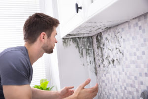 Signs Your Rancho Santa Fe CA Home Has Pesky Mold Growth Signs Your Rancho Santa Fe CA Home Has Pesky Mold Growth