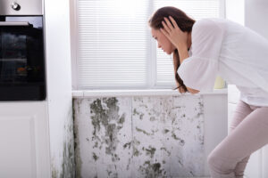 Call Our San Marcos CA Mold Restoration Company at the First Sight of Mold Call Our San Marcos CA Mold Restoration Company at the First Sight of Mold