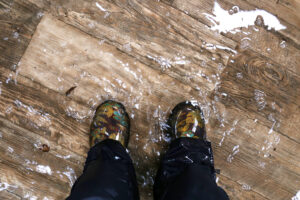 Your Little Guide to Preventing Flood Damage in Your Fallbrook CA Home Your Little Guide to Preventing Flood Damage in Your Fallbrook CA Home