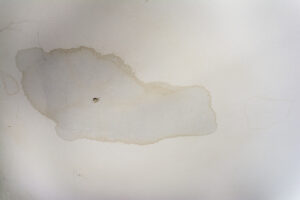 My Walls Are Wet! Do I Have a Water Leak in my Carlsbad CA Home?
