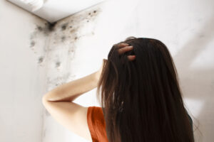 4 Things to Avoid Doing if You Want to Avoid Mold Growth in Your Vista CA Home