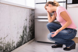 5 Interesting Facts About Mold Damage in Southern California That you Didn’t Know 5 Interesting Facts About Mold Damage in Southern California That you Didn’t Know