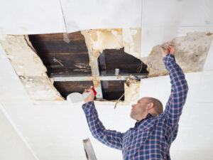 Get Great Deals on Mold Damage Restoration in Encinitas CA Get Great Deals on Mold Damage Restoration in Encinitas CA