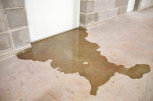 Never Ignore Signs of Leaking Water in Vista CA Never Ignore Signs of Leaking Water in Vista CA