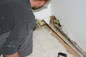 Mold Forms in Just One to Two Days After Water Damage in Vista CA Mold Forms in Just One to Two Days After Water Damage in Vista CA