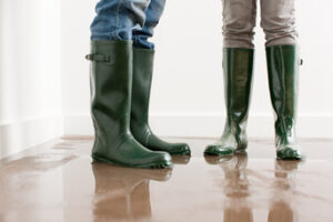 Some Important Things You Should Know During a Household Flood in Encinitas CA Some Important Things You Should Know During a Household Flood in Encinitas CA