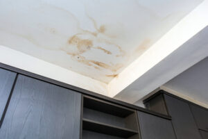 How to Tell if Your Home Has Water Damage in Encinitas CA