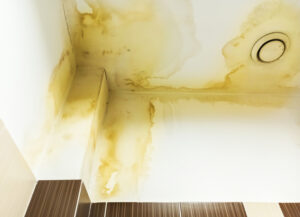 Water Can Cause Everlasting Damage in Your Fallbrook CA Home Water Can Cause Everlasting Damage in Your Fallbrook CA Home