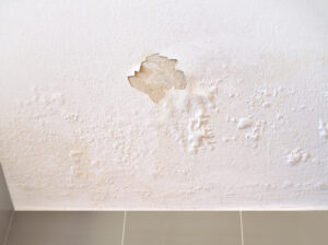We Go the Extra Mile to Stop Water Damage in Encinitas CA We Go the Extra Mile to Stop Water Damage in Encinitas CA