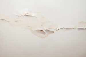 We Offer the Quickest Water Leak Detection in Cardiff CA We Offer the Quickest Water Leak Detection in Cardiff CA