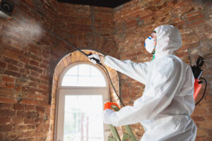 We'll Contain Mold in Your Encinitas CA Business in No Time We'll Contain Mold in Your Encinitas CA Business in No Time