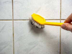 3 Reasons to Never Perform Mold Restoration in Bloomington CA on Your Own 3 Reasons to Never Perform Mold Restoration in Bloomington CA on Your Own