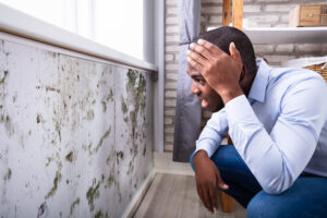 Don't Let Mold in Del Mar CA Kill Your Vibe Don't Let Mold in Del Mar CA Kill Your Vibe