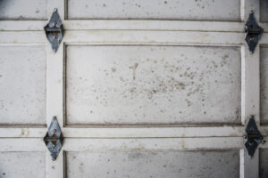 Mold Infestation in San Marcos CA Got You Down? Call 1st Choice Plumbing Today Mold Infestation in San Marcos CA Got You Down? Call 1st Choice Plumbing Today