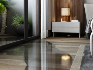 Standing Water inside Your Cardiff CA Home? You Need a Professional on Board