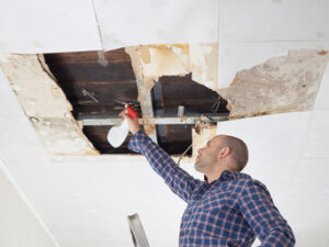 Make the Inside of Your Home Safe Again with Mold Restoration in Encinitas CA