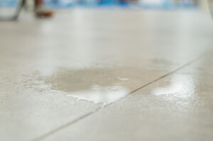 Random Puddles Forming Inside Your Home? You Need Water Leak Detection in San Marcos CA