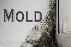 How Do I Deal With Mold In My Home? How Do I Deal With Mold In My Home?