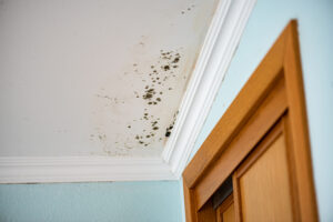 Learn About Our Six-Step Mold Damage Restoration Process! Learn About Our Six-Step Mold Damage Restoration Process!