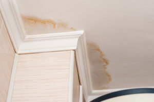 Who Offers the Best Water Damage Restoration in Cardiff CA? Who Offers the Best Water Damage Restoration in Cardiff CA?