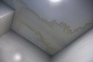 Who Should I Call for Mold Damage Restoration in Solana Beach CA? Who Should I Call for Mold Damage Restoration in Solana Beach CA?