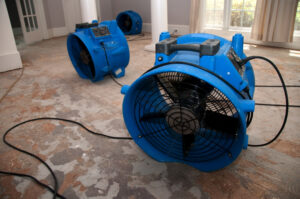 Learn About Our Water Damage Restoration Process! Learn About Our Water Damage Restoration Process!