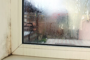Preventing Household Mold Problems in Solana Beach CA Preventing Household Mold Problems in Solana Beach CA