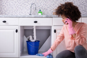 Signs That You May Have a Water Leak in Rancho Santa Fe CA Home Signs That You May Have a Water Leak in Rancho Santa Fe CA Home