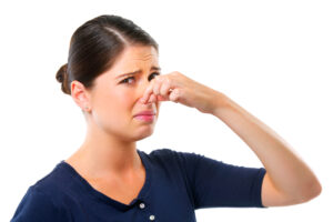 Is Your Nose Warning You That You May Have Hidden Mold or Water Damage? Is Your Nose Warning You That You May Have Hidden Mold or Water Damage?