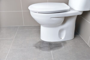 What's Causing That Puddle of Water at the Base of Your Toilet?