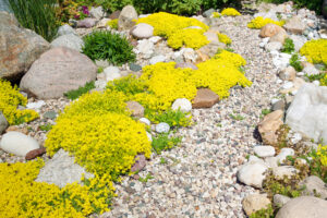 Tips for Conserving Water in Oceanside CA Tips for Conserving Water in Oceanside CA