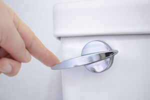 Fixing a Broken Toilet Handle in Oceanside, CA Fixing a Broken Toilet Handle in Oceanside, CA