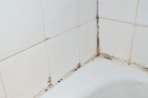 Keeping Your Bathroom Free of Mold and Mildew