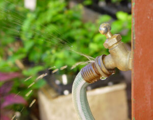 Oceanside, CA's Most Common Outdoor Home Plumbing Problems Oceanside, CA's Most Common Outdoor Home Plumbing Problems