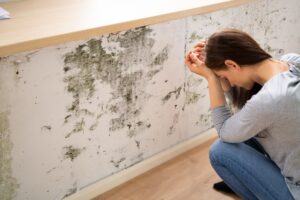 How to Look for Mold Before Purchasing a Home How to Look for Mold Before Purchasing a Home