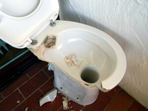 6 Signs That You May Need a New Toilet
