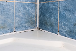 Three Regular Causes of Mold in Bathrooms