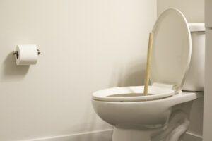 I'm Grossed Out By A Clogged Toilet. What Can I Do? I'm Grossed Out By A Clogged Toilet. What Can I Do?