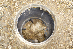 What Happens When Your Sewer Line Backs Up? What Happens When Your Sewer Line Backs Up?