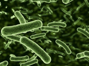 Is Your Plumbing Making You Sick? Is Your Plumbing Making You Sick?