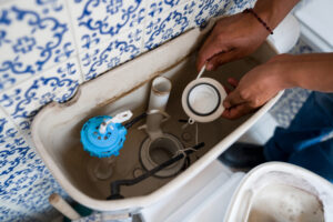 What Are the Most Common Toilet Problems in Carlsbad, CA? What Are the Most Common Toilet Problems in Carlsbad, CA?