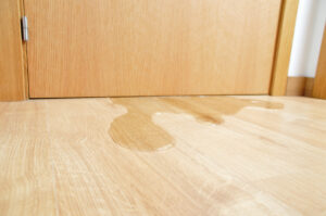 Water damage in indoor at home caused by sewer backflow due to clogged sanitary drain