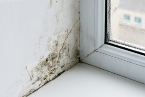 Mold in the corner of the plastic windows.
