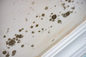 Mold-Infested Ceiling in a Bedroom – dangerous and health-damaging